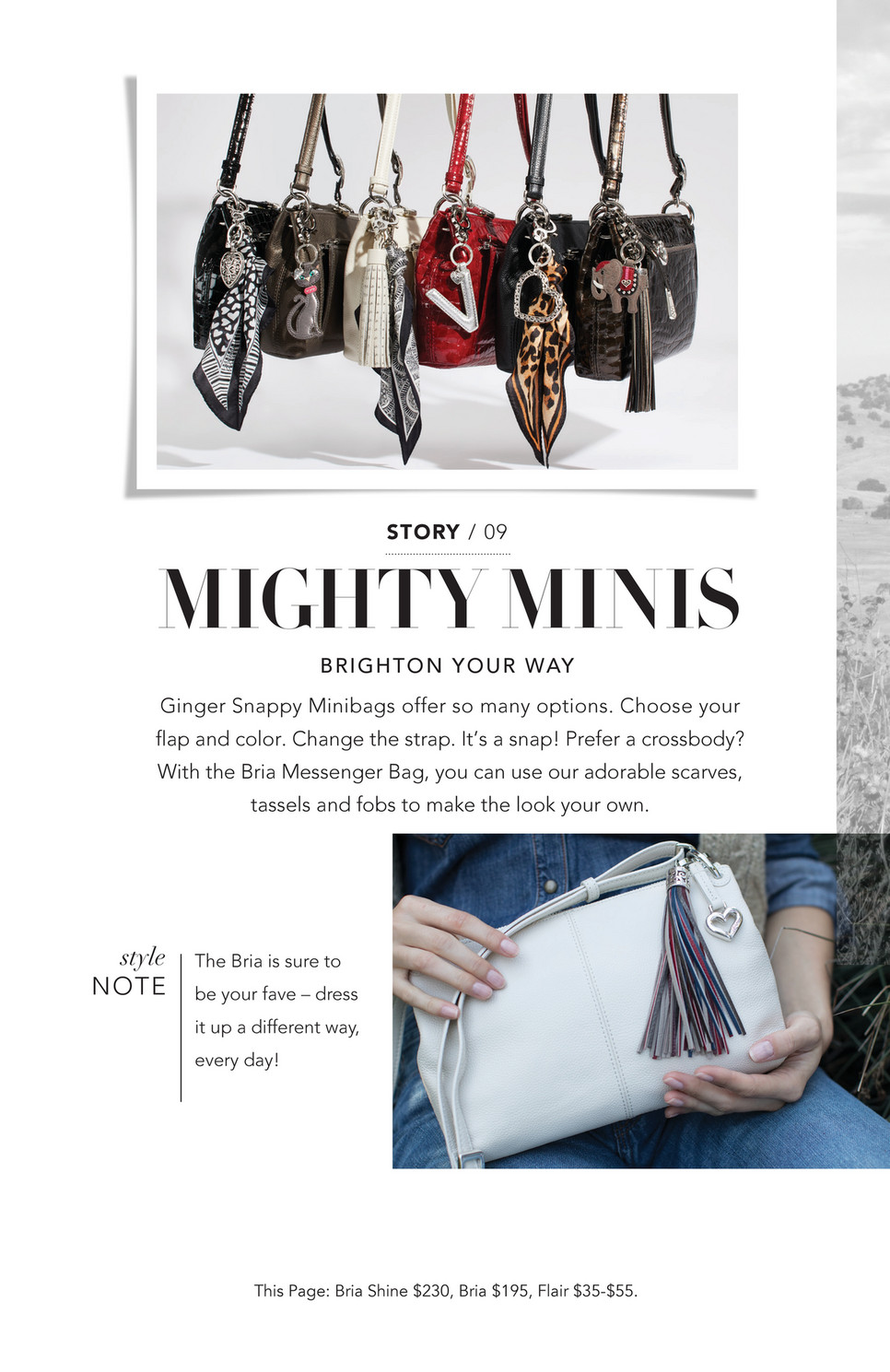 Brighton - The Fall Stories - Brighton Ginger Snappy Minibag Black